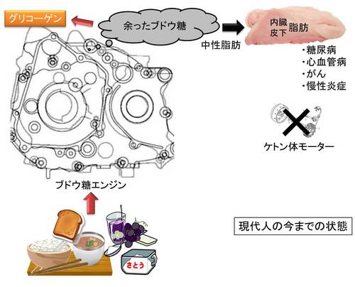 ブドウ糖エンジン2.jpg