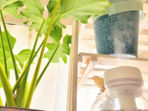 加湿器のイメージ画像