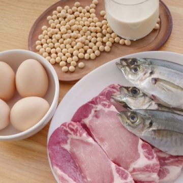 たんぱく質の多い食材のイメージ画像