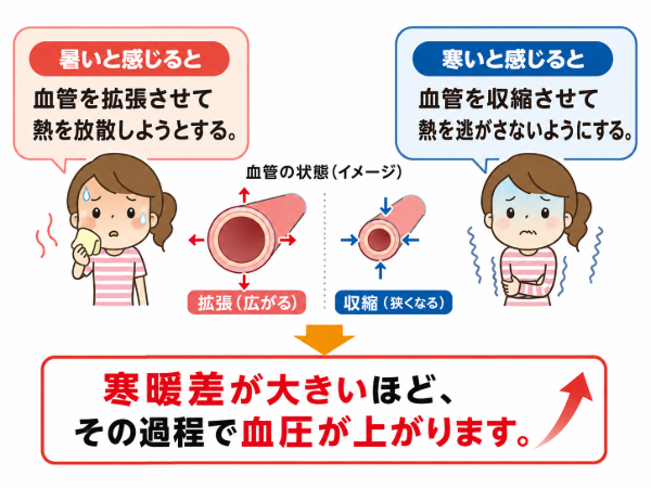 寒暖差の血管のイメージ画像