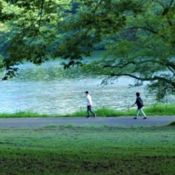 湖畔をウオーキングする夫婦のイメージ画像