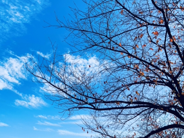 寒空のイメージ画像