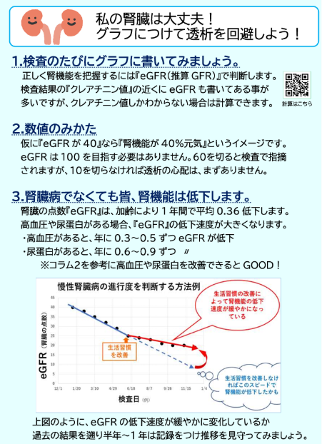eGFRグラフのイメージ画像
