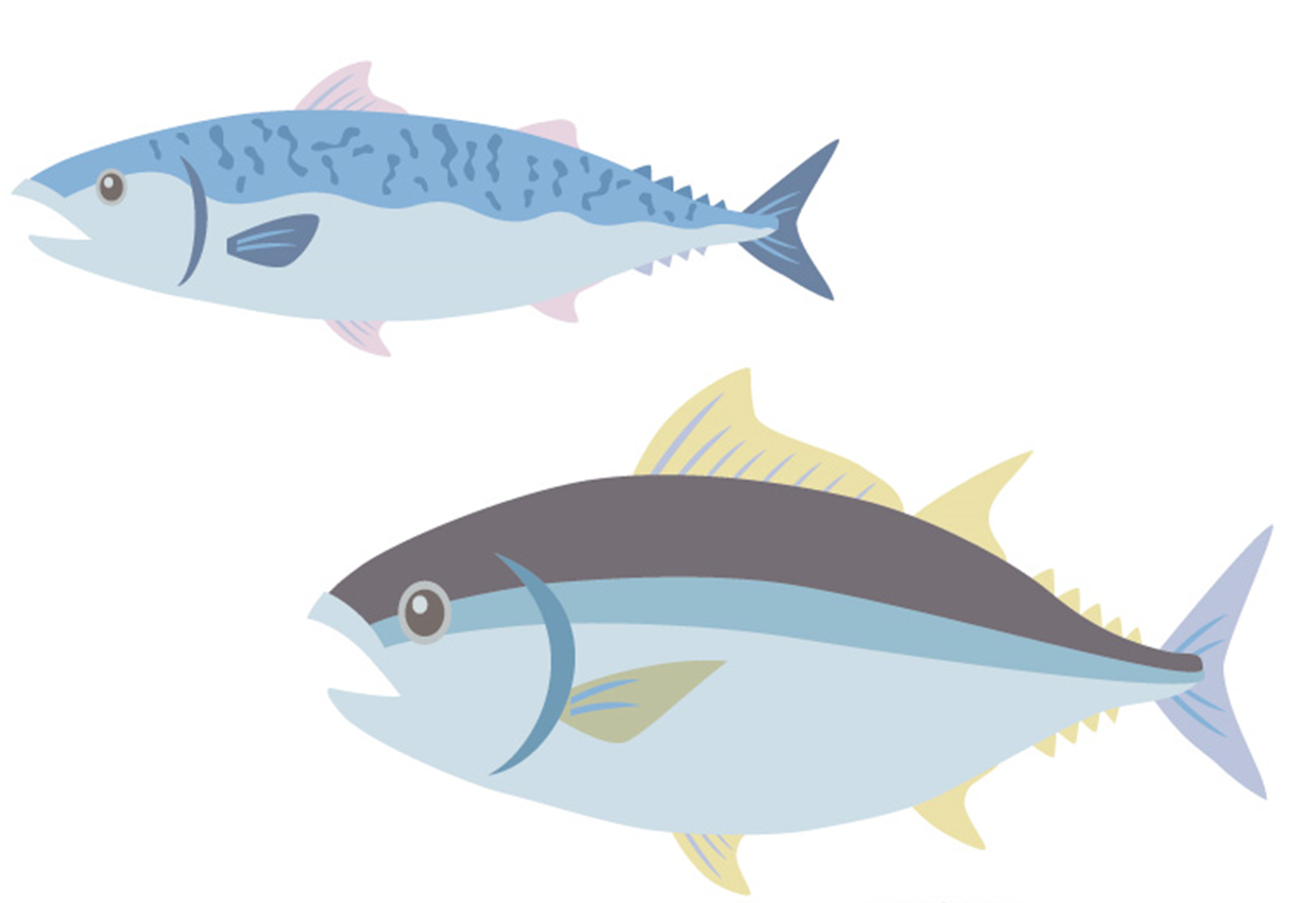 オメガ3の多い青魚