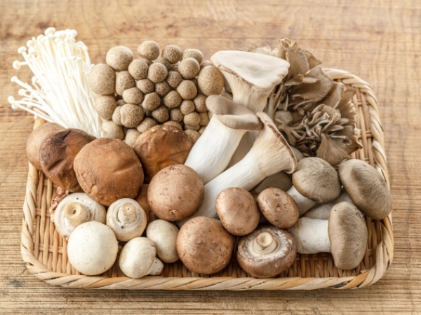 きのこの盛り合わせの画像