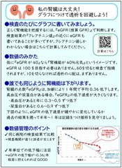 純炭粉末公式専門店で配布しているeGFR管理表