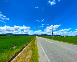 夏の田んぼ、道路、青空、雲のイメージ画像