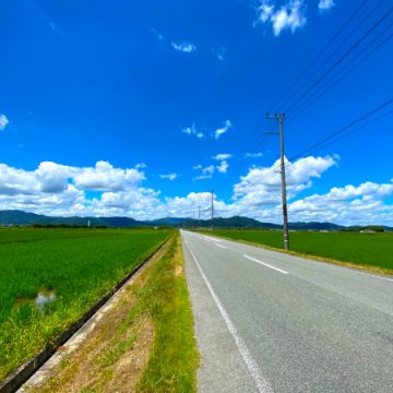 夏の田んぼ、道路、青空、雲のイメージ画像