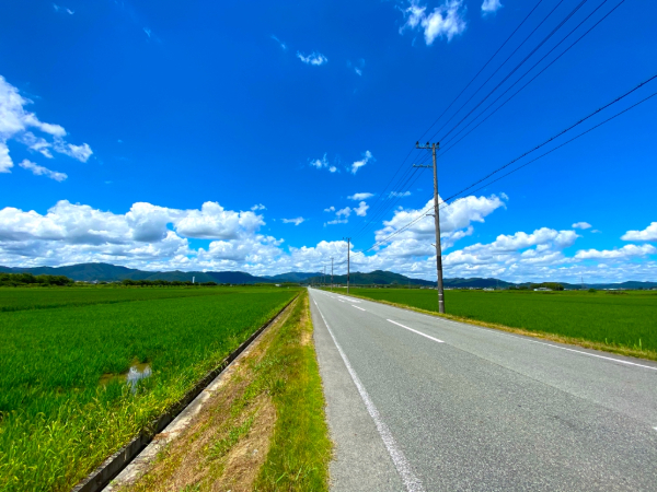 夏の田んぼ、道路、青空、雲のイメージ画像