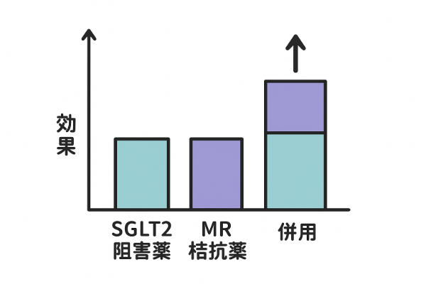 SGLT2阻害薬とMR拮抗薬の併用は単剤よりも腎保護効果が高い