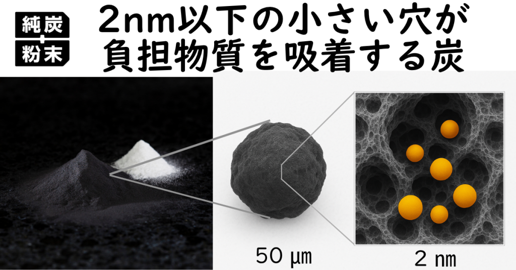 純炭粉末とは2nm程の微細な孔が負担物質を吸着する食用炭