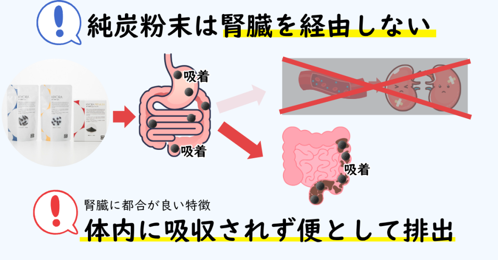 純炭粉末は腎臓を経由しないで排出される特徴がある