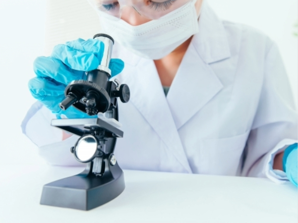 研究者のイメージ画像