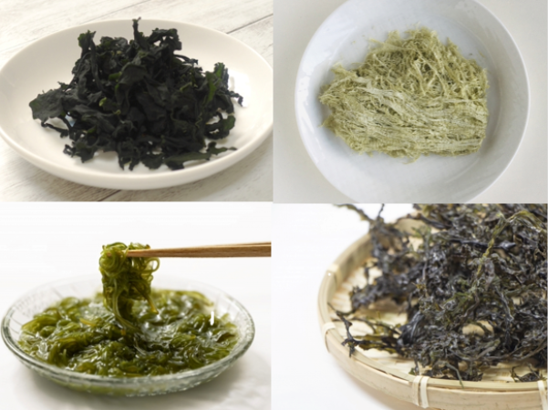 乾燥わかめ、とろろ、めかぶ、岩のりのイメージ画像