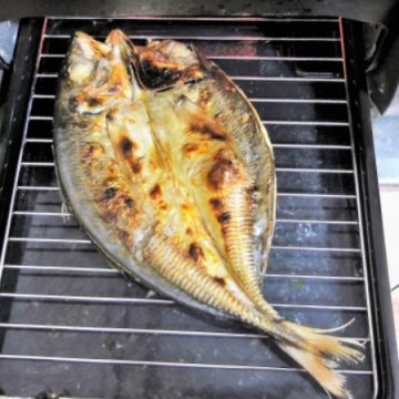 焼き魚のイメージ画像